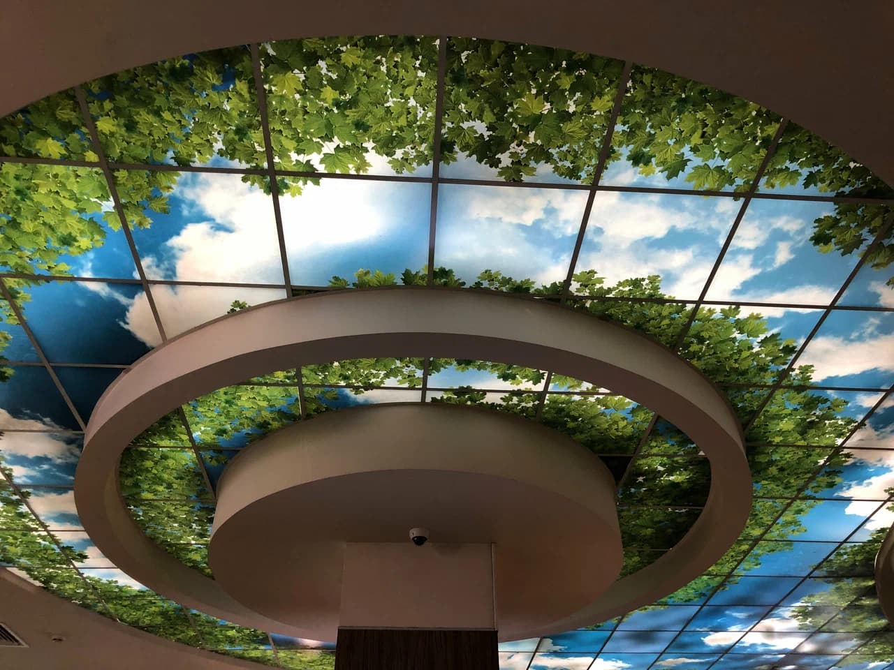 Галерея - фото 1